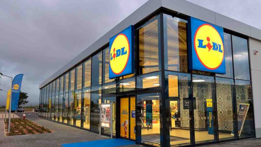 Candidatura Emprego Lidl Junte-se à Família Lidl: Vagas Abertas Para Profissionais Talentosos